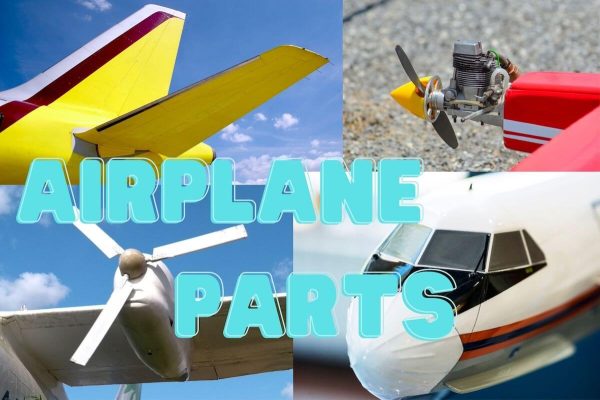 Airplane Parts Explained: Anatomy Guide from Tail to Propeller