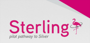 Silver Airways Sterling Program